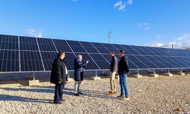 Inca instala un parque fotovoltaico de autoconsumo que supondrá un ahorro anual de 200.000 euros
