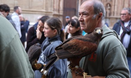 Multitud de mascotas y animales asisten a las ‘beneïdes’ por Sant Antoni en Palma