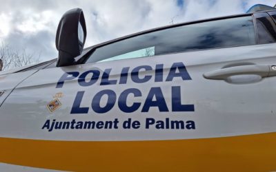 Detenidos dos jóvenes en Palma por robar y agredir a un menor en Son Armadams