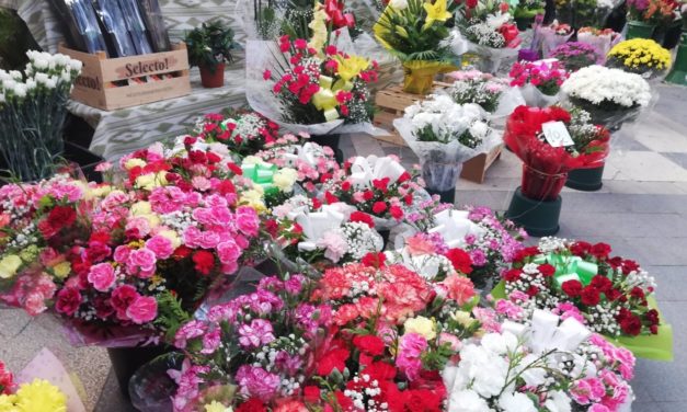 El Ayuntamiento de Palma adjudica los diez quioscos de flores de Las Ramblas
