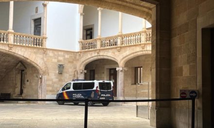 Tres años de cárcel por patronear hasta Mallorca una patera con 15 pasajeros