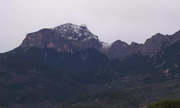 El Puigmajor registra la primera nevada de 2024 en Mallorca