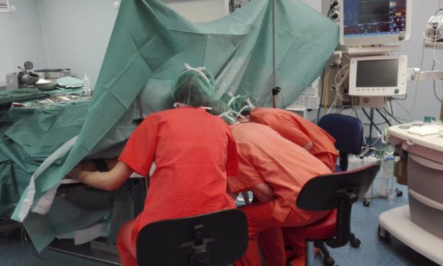 Los hospitales públicos de Baleares transplantaron 132 órganos en 2023