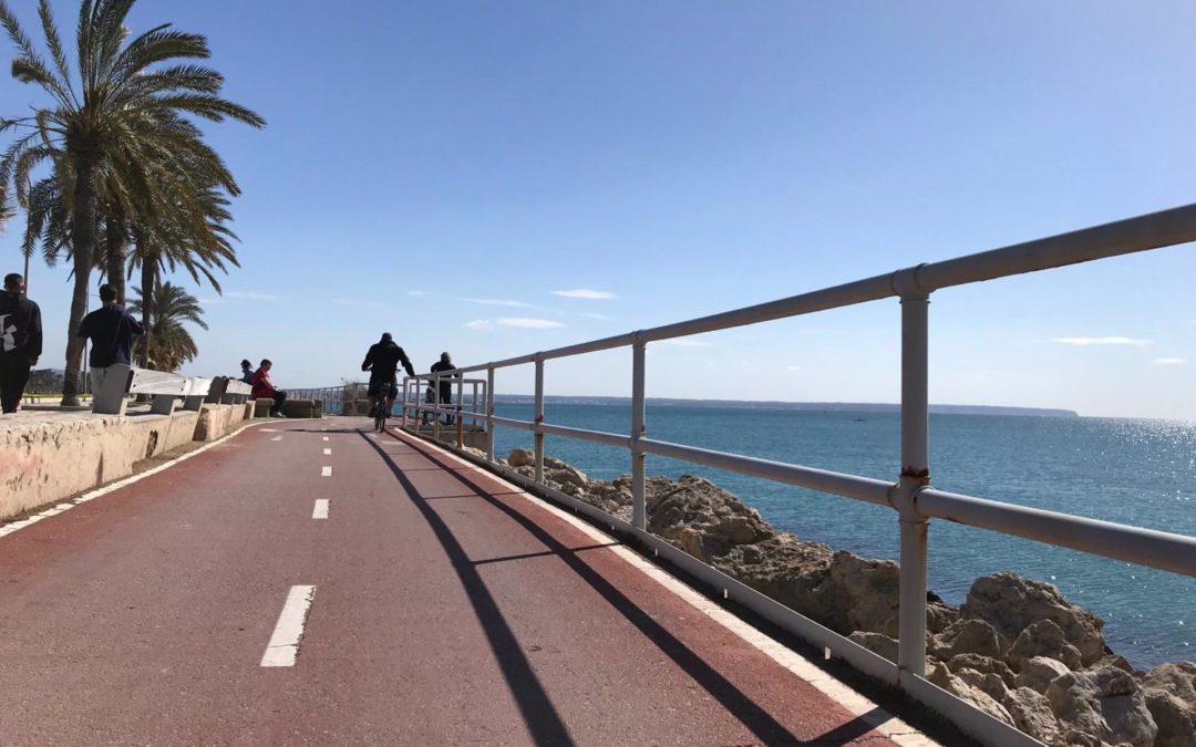 Autoridad Portuaria mejorará el carril bici de la Avenida Adolfo Suárez del puerto de Palma