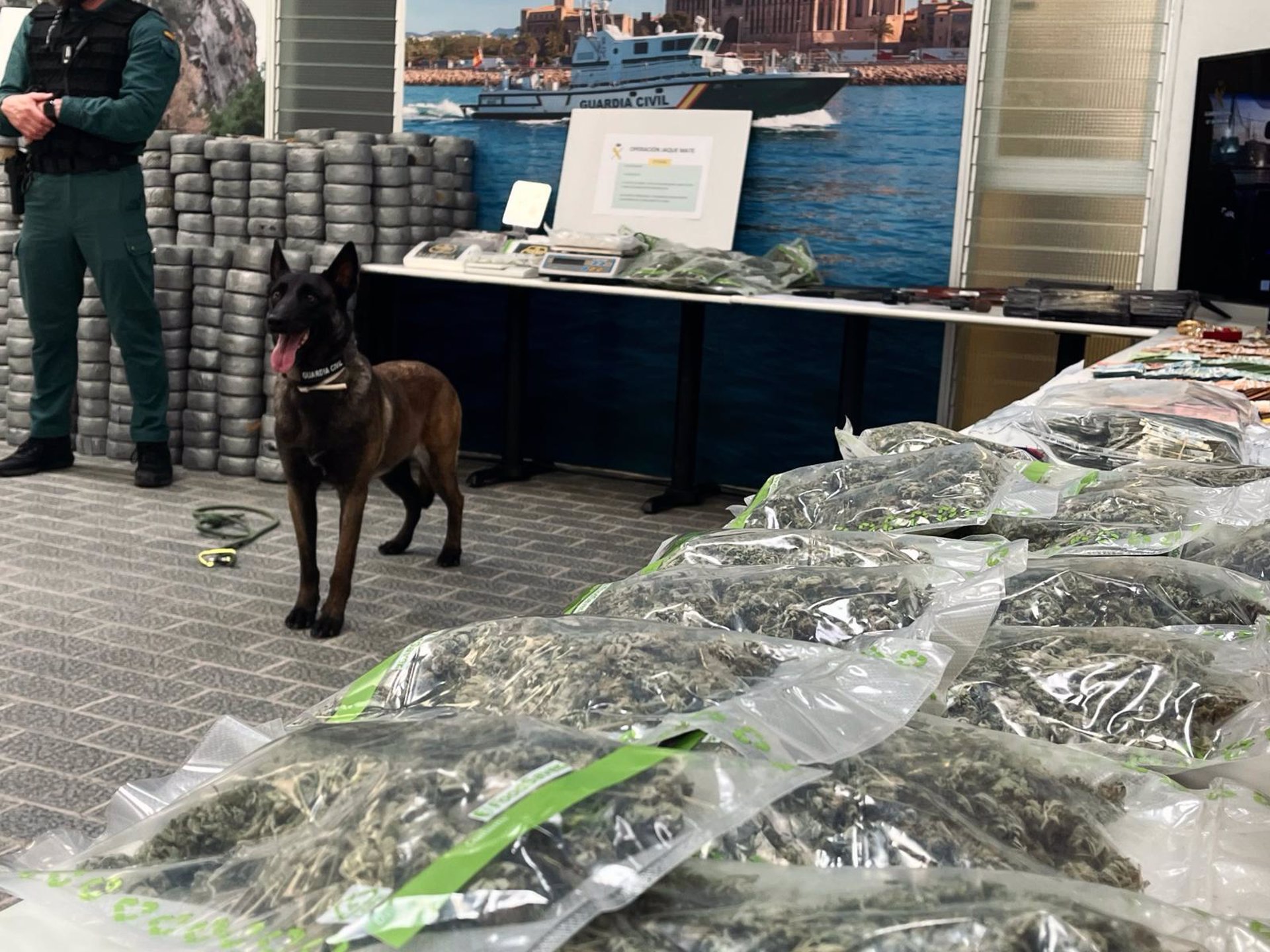 Una unidad canina de la Guardia Civil junto a droga, dinero y objetos expuestos por la Guardia Civil, procedentes de la operación 'Jaque Mate'. - EUROPA PRESS
