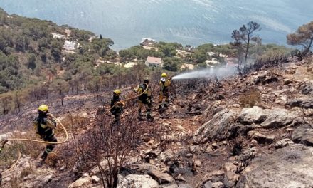 Extinguido el incendio en la Costa dels Pins tras calcinar cerca de 4,2 hectáreas de pinar