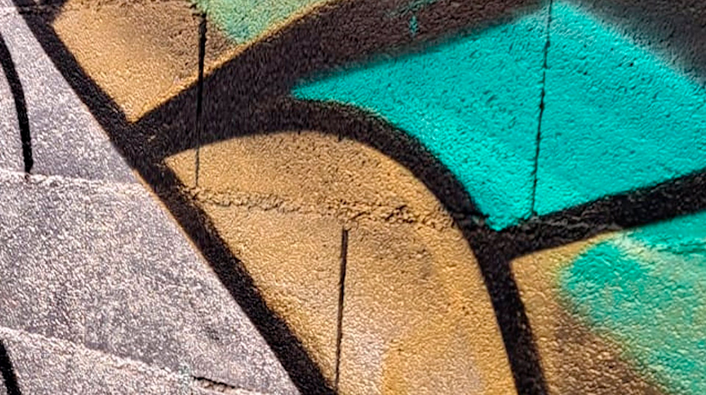 Imagen detalle de la pintada realizada en un muro del centro de Palma. - POLICÍA LOCAL