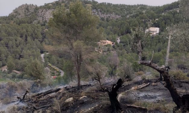 Extinguido el incendio de Alconàsser tras calcinar casi una hectárea de pinar