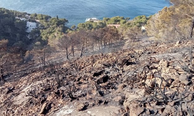 Controlado el incendio forestal en Costa dels Pins