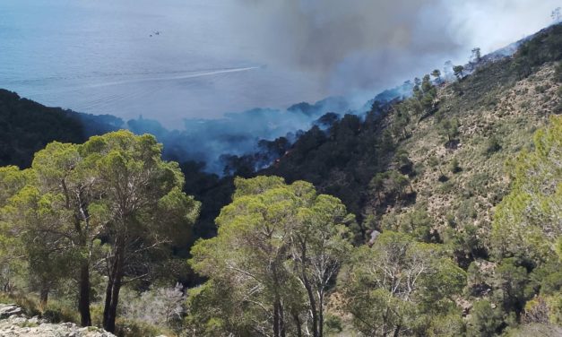 Desalojan varias viviendas por un incendio forestal en Costa dels Pins, Son Servera