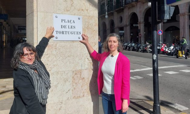 MÉS solicitará, por quinta vez, el cambio de nombre de la plaza Juan Carlos I por plaza de las Tortugas