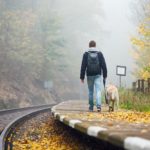 Un perro en una estación.