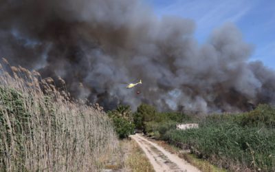Elevan a 35 las hectáreas quemadas en el incendio de s’Albufera