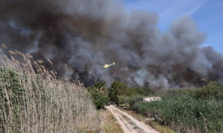 Elevan a 35 las hectáreas quemadas en el incendio de s’Albufera