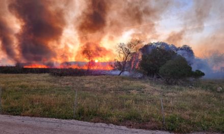Un incendio quema seis hectáreas en S’Albufera