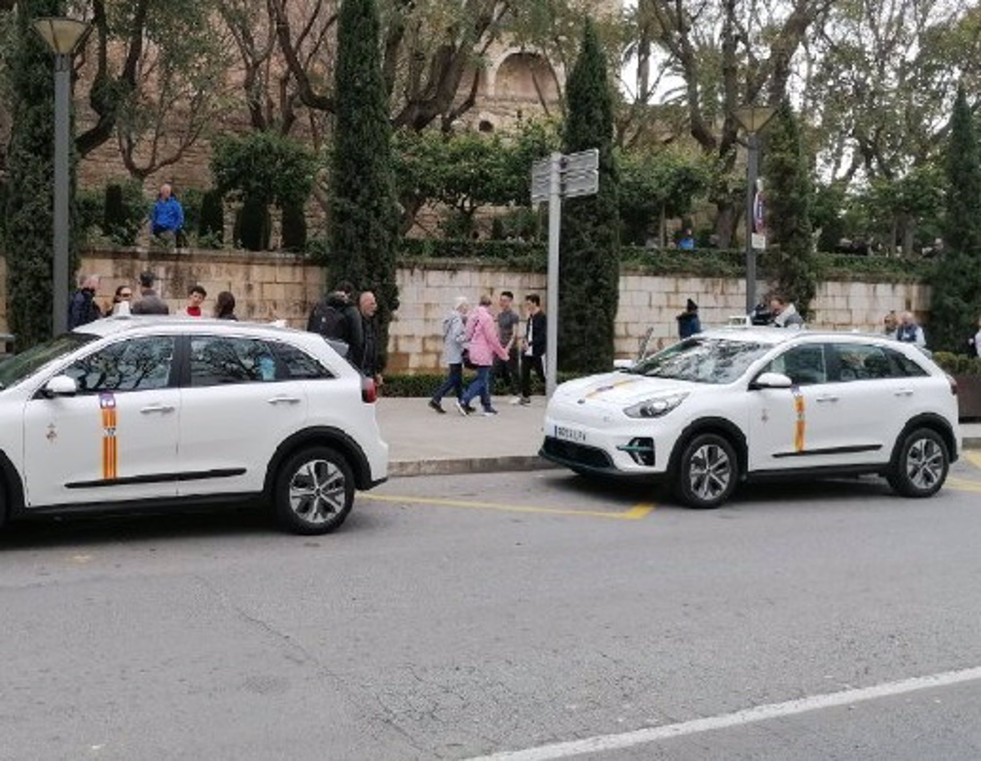 Taxis estacionados en Palma. - CAIB - Archivo
