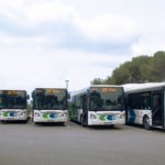 Buses de la EMT. Archivo. - Ayuntamiento de Palma - Archivo