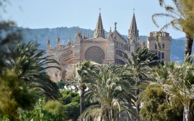 Afedeco apuesta por colaborar con el Ayuntamiento para que Palma pueda “liderar el camino hacia un turismo sostenible”