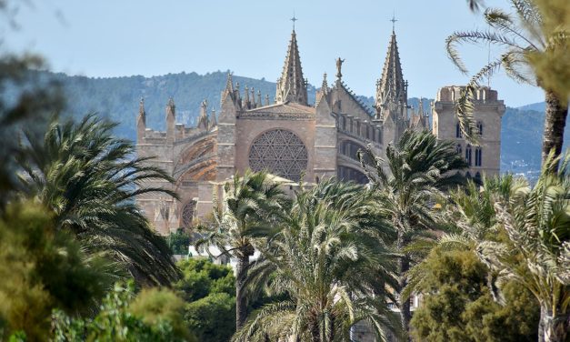Afedeco apuesta por colaborar con el Ayuntamiento para que Palma pueda “liderar el camino hacia un turismo sostenible”