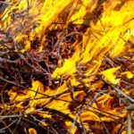 Incendio forestal, foto de recurso.
