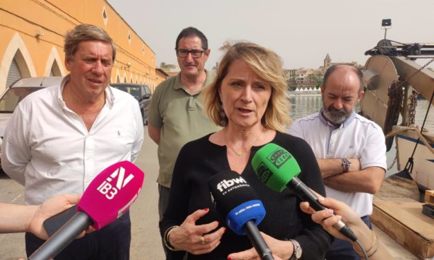 El PP se reivindica como el “único partido” con posibilidades de conseguir una eurodiputada de Baleares