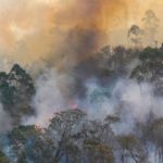 Imagen de archivo de un incendio forestal.