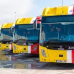 Varios autobuses TIB. ISLAS BALEARES ESPAÑA EUROPA SOCIEDAD PALMA DE MALLORCA CAIB