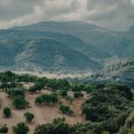 Agüí-Mallorca.