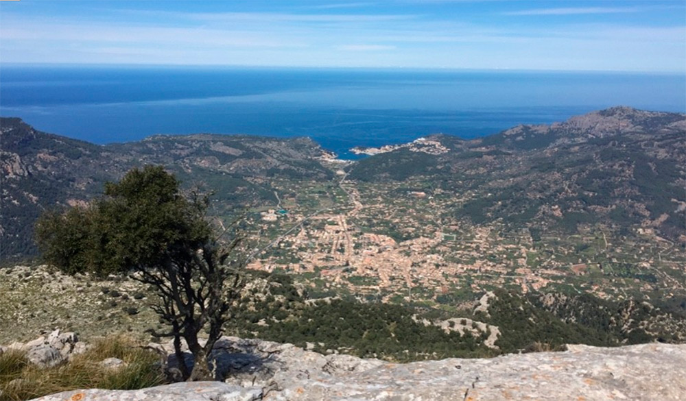 Puig de Alfabia (Wikiloc).