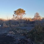 Zona de un incendio en Ibiza - IBANAT - Archivo