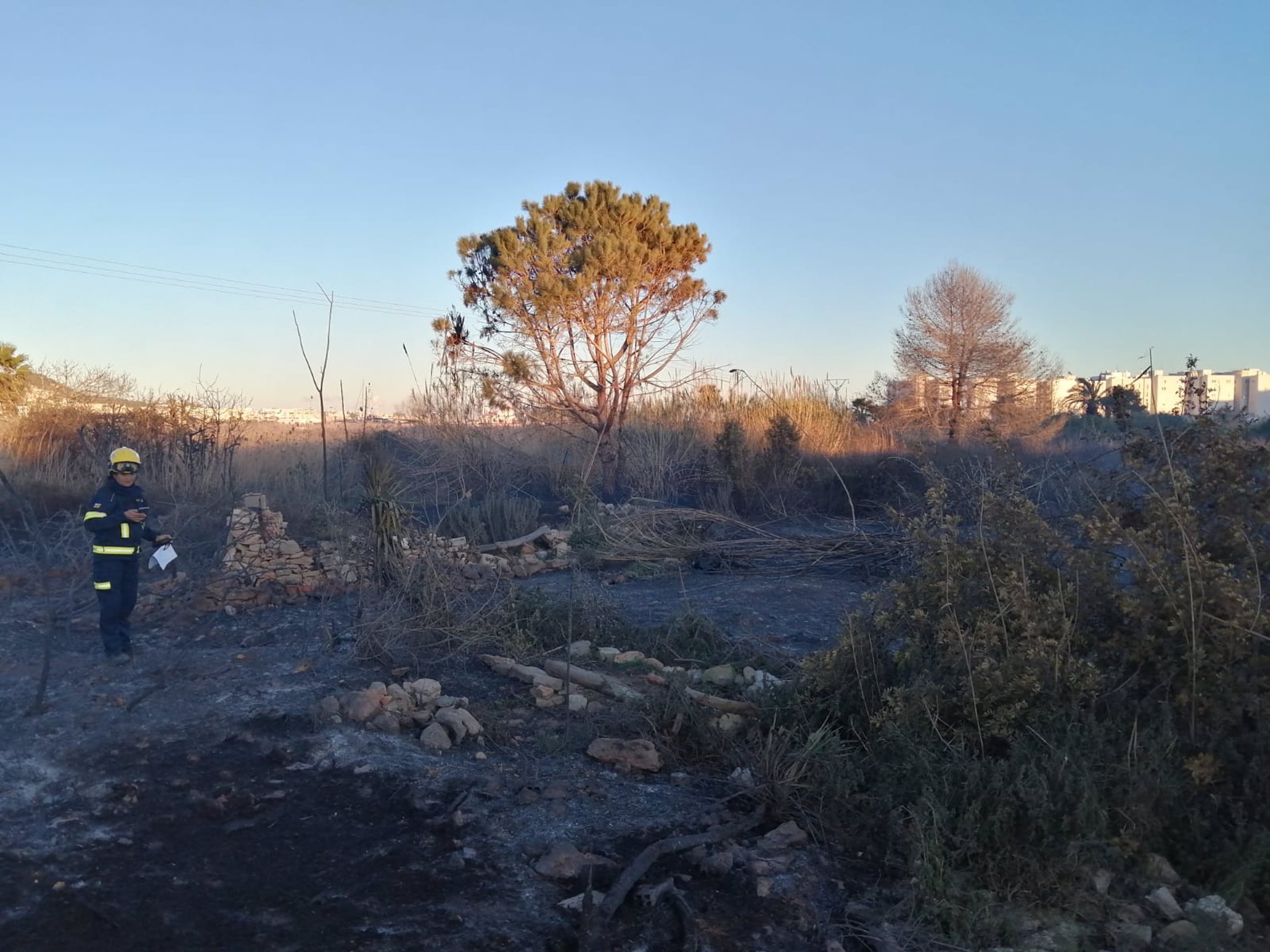 Zona de un incendio en Ibiza - IBANAT - Archivo