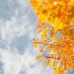 El otoño llega este 22 de septiembre a Baleares.