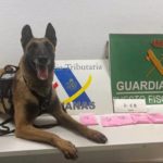 Detenida una mujer destinataria de un paquete con cocaína rosa - GUARDIA CIVIL