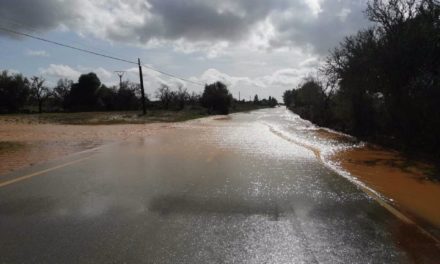 Efectivos del Consell de Mallorca realizan cerca de 400 actuaciones tras el paso de la DANA