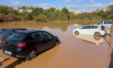 Porto Cristo trabaja durante todo el día para restablecer la normalidad tras el paso de la DANA