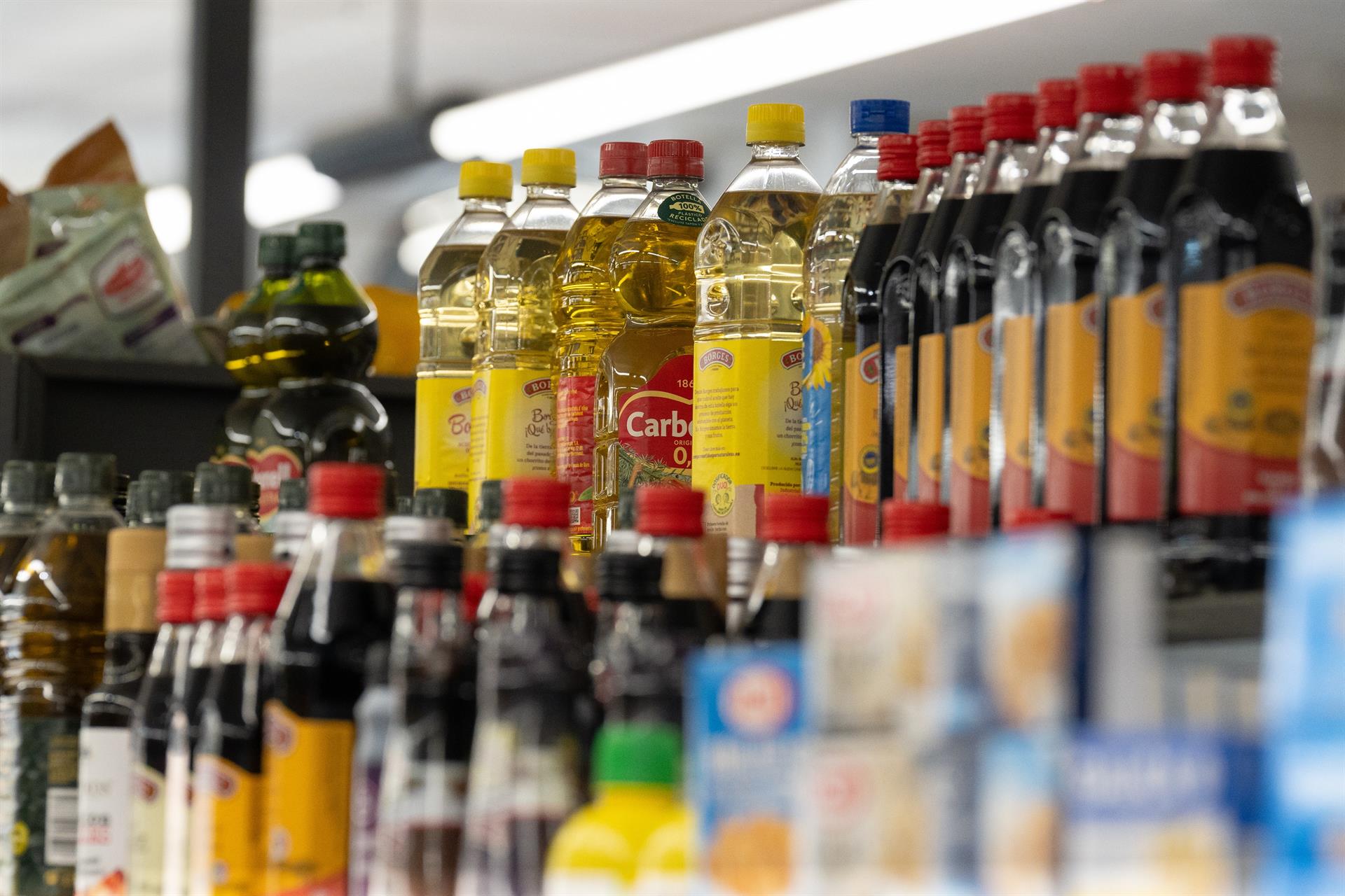 Varias botellas de aceite. - David Zorrakino - Europa Press - Archivo