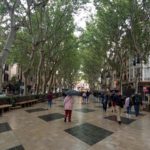 Varias personas pasean por el centro de Palma en un día de lluvia. - EUROPA PRESS - Archivo
