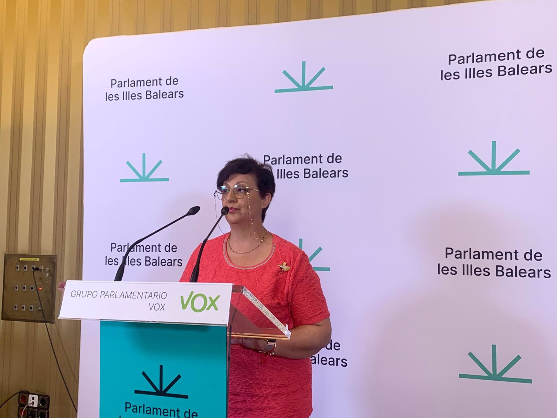 La diputada de Vox María José Verdú en rueda de prensa - EUROPA PRESS - Archivo