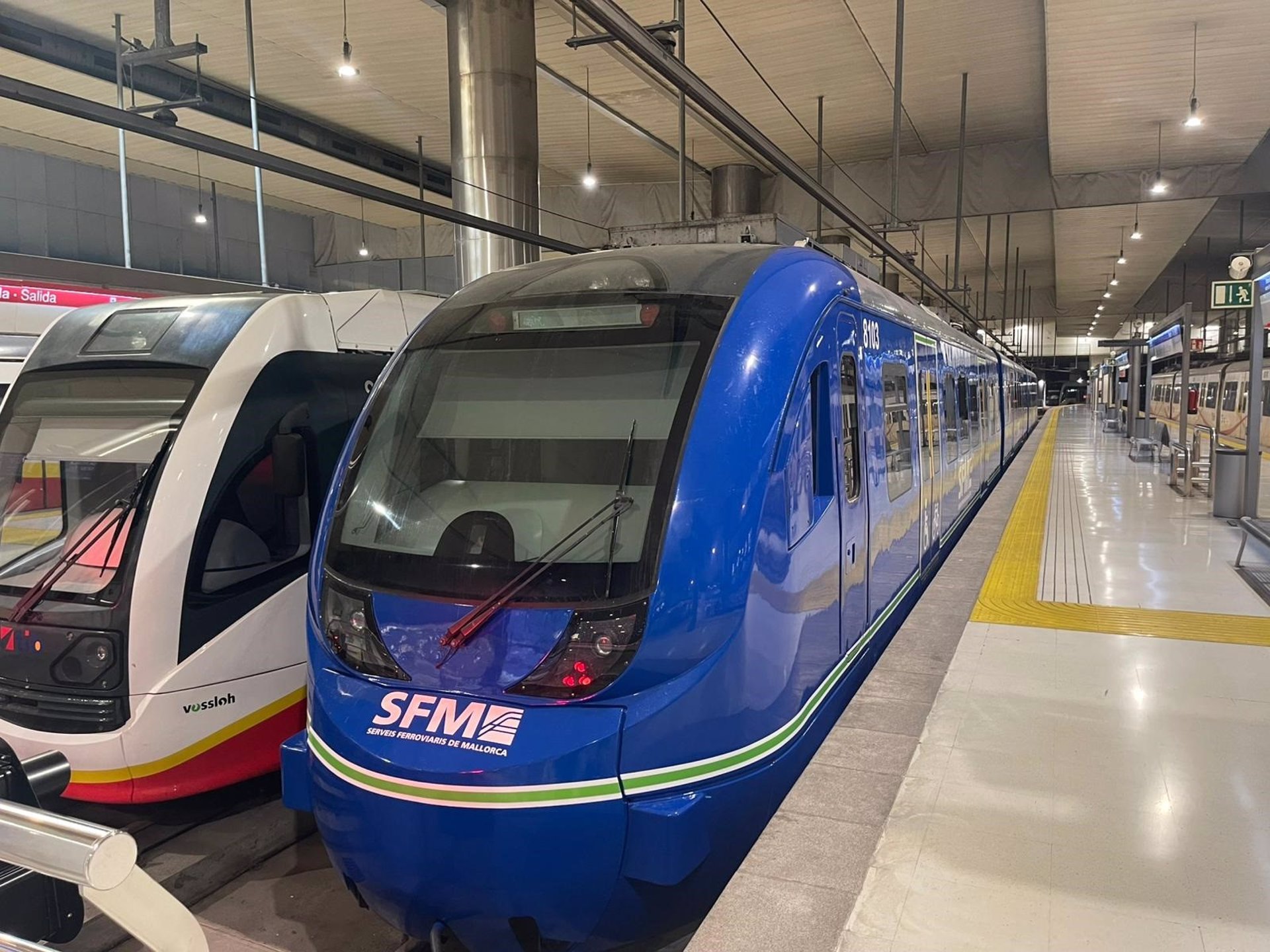 Trenes de SFM en la estación - CAIB